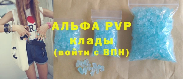 спиды Новодвинск